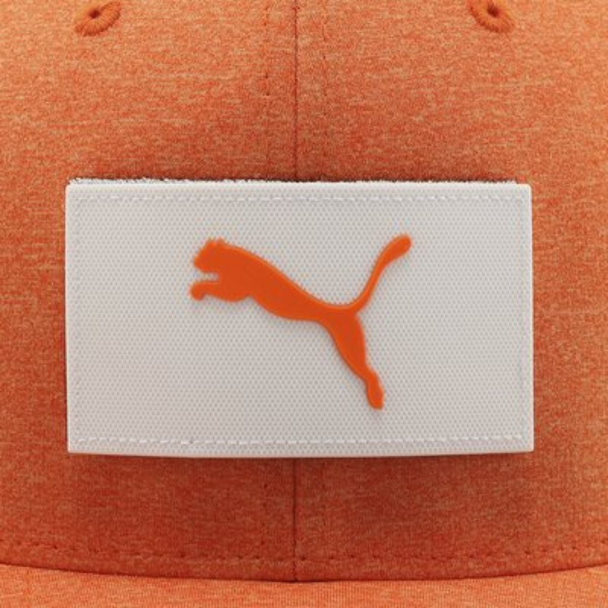 Gorra Puma Logotipo Intercambiable Flexfit 110cap 02199105