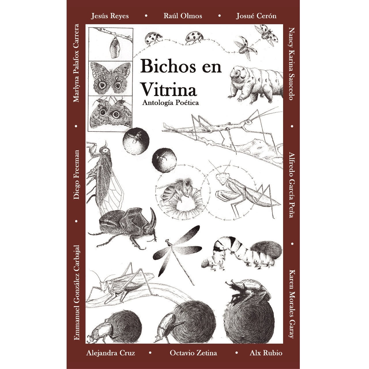 LIBRO Bichos en vitrina