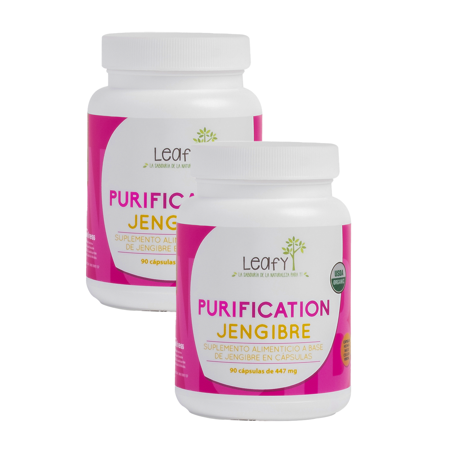 Cápsulas Purification Jengibre Leafy 2 unidades 180 cápsulas 