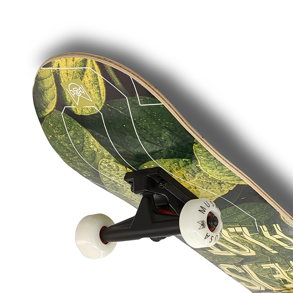 Patineta Profesional MUSA Hojas Solo Pam Llantas Blancas skate skateboard