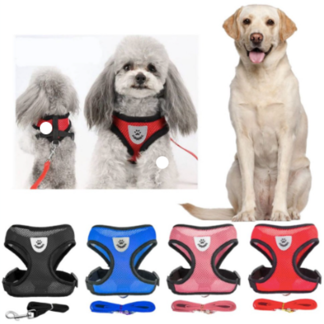 PECHERA/ARNES Y CORREA PARA PERRO Y GATO MUY CÓMODAS