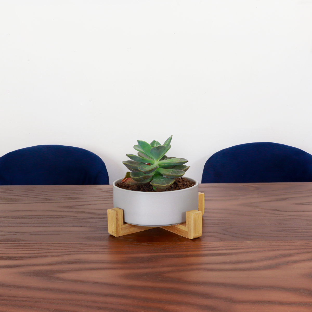 Silla de gamuza london plus minimalista, sillón moderno para comedor estilo escandinavo