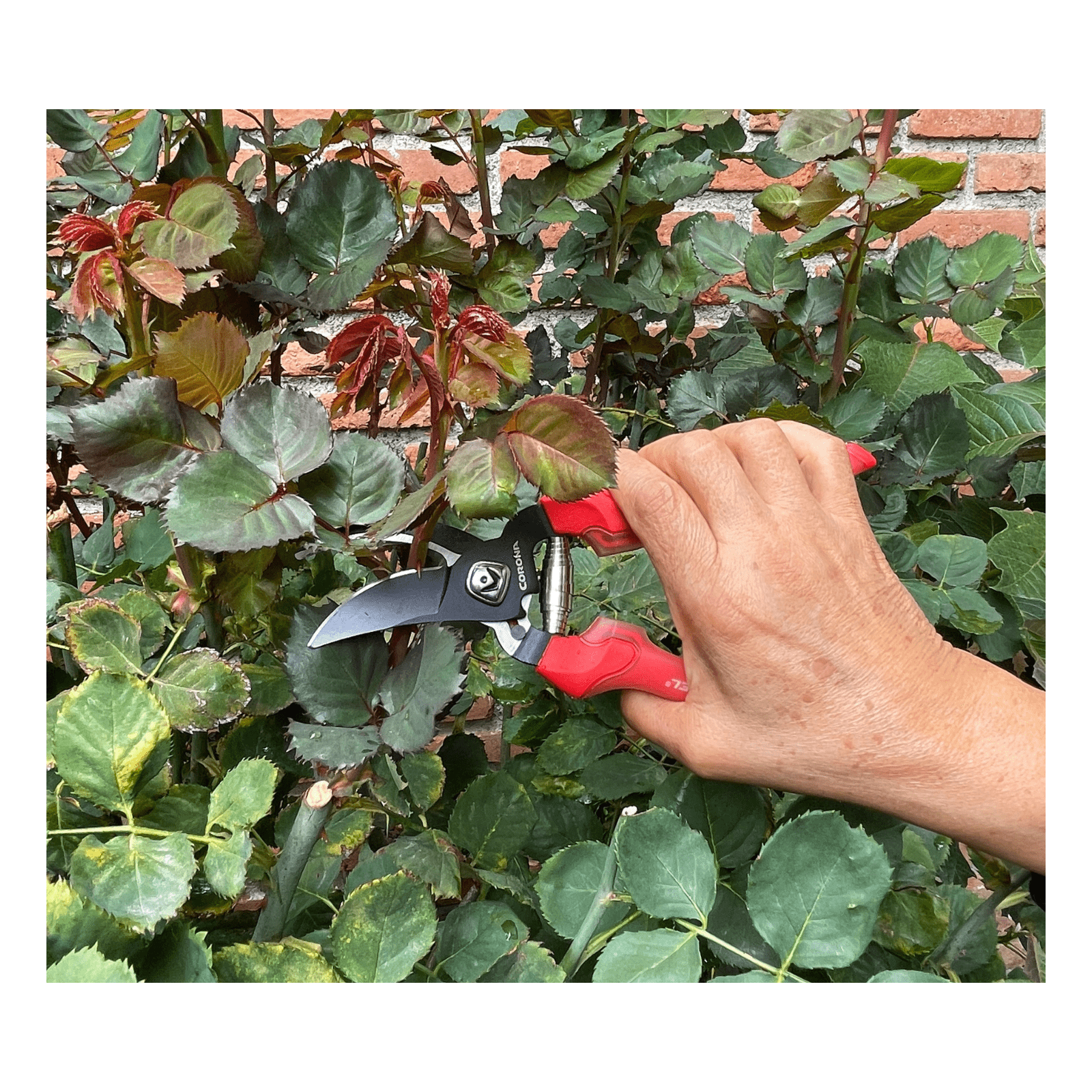 TIJERA DE PODA CORONA COMFORT GEL