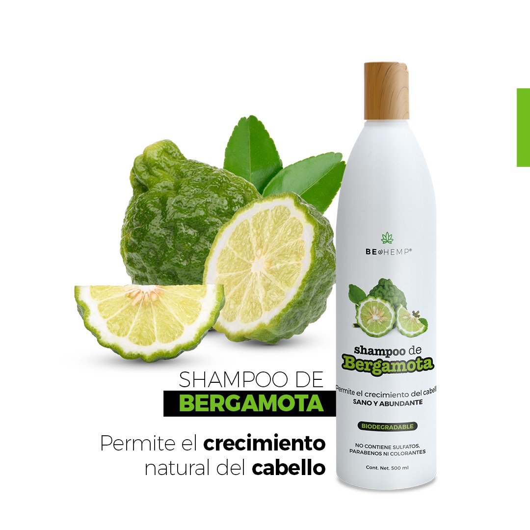 Shampoo Anticaída Y Crecimiento De Bergamota 500 Ml Beohemp