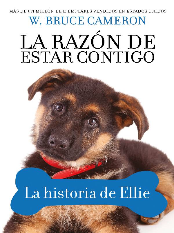Libro La razón de estar contigo la historia de Ellie