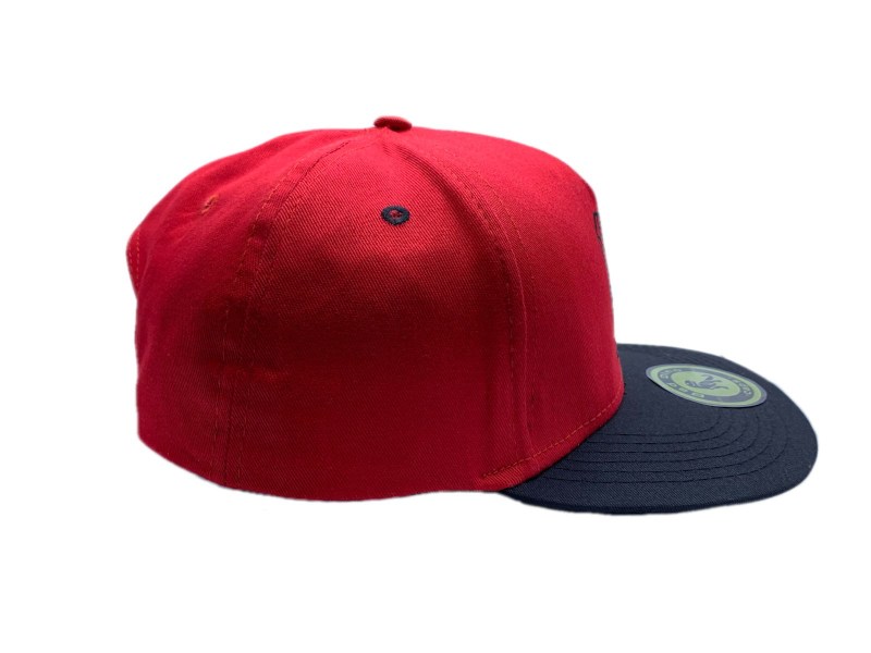 Gorra Premium Bad Dino T Rex Geometrico Snapback Original