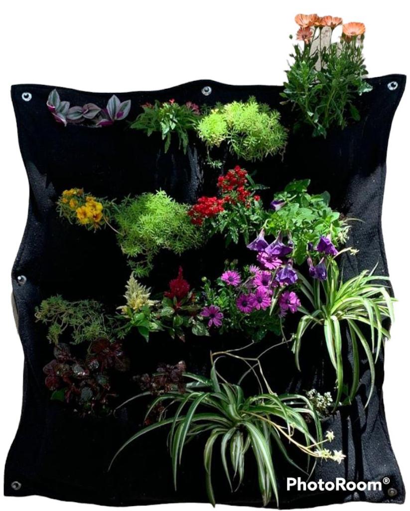 Jardín Vertical O Muro Verde De Geotextil, Con 36 Bolsas