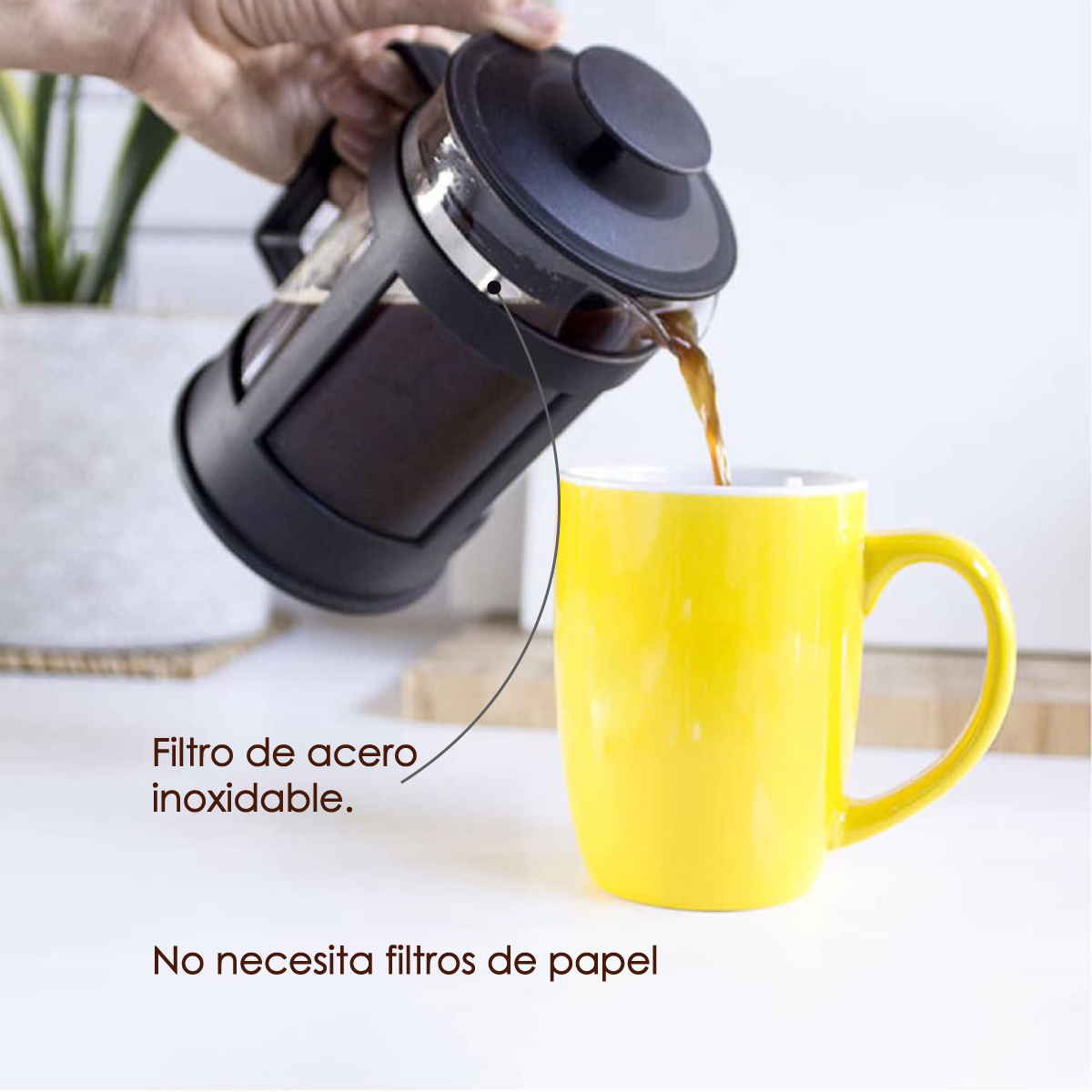 Cafetera Prensa Francesa A Embolo Vidrio Y Plástico 800ml