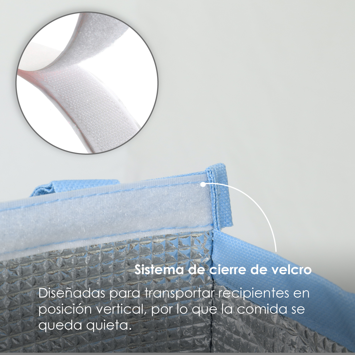 Bolsa Térmica Lonchera De Almuerzo, Lunch Bag Multiusos (Azul con fresas)
