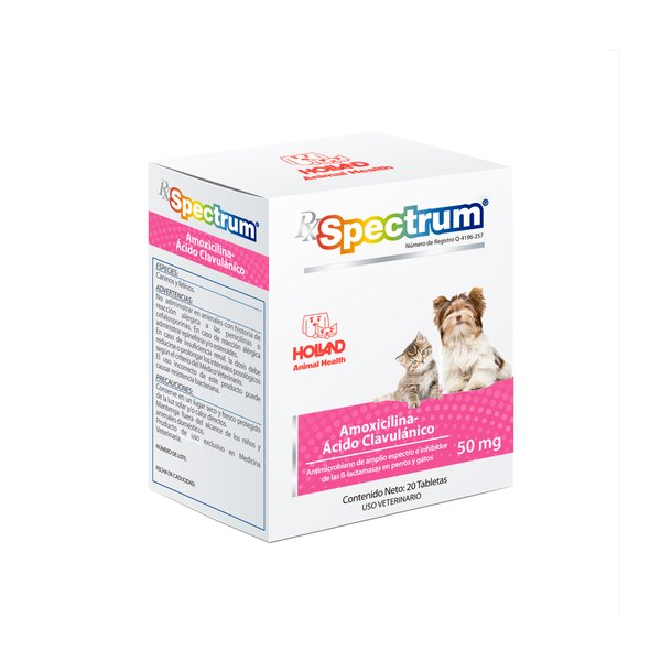 Rx Spectrum Amoxicilina Ácido-Clavulánico - 50 mg HOLLAND