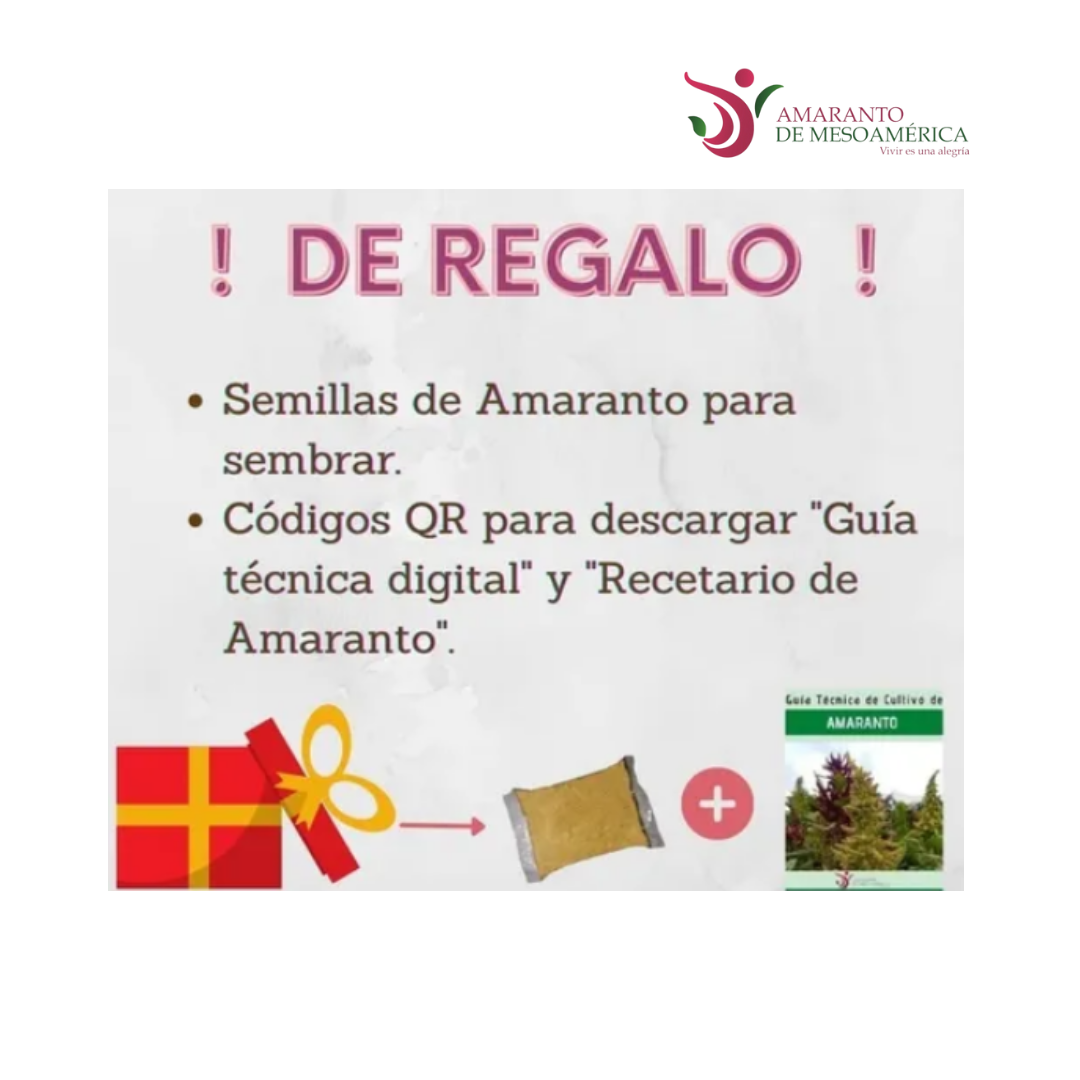 Barra De Amaranto Con Cacahuate Paquete 20 Piezas