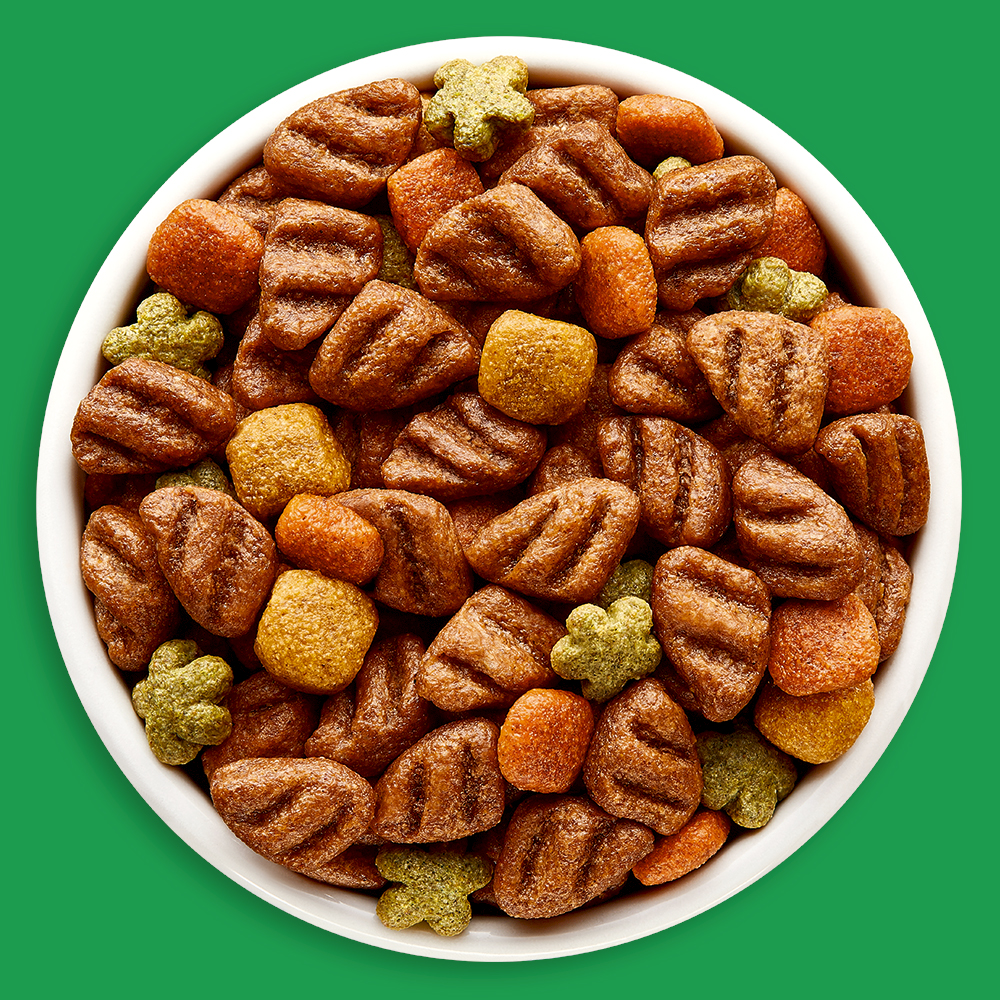 Dog Chow Alimento seco cachorros minis y pequeños, bulto de 4kg