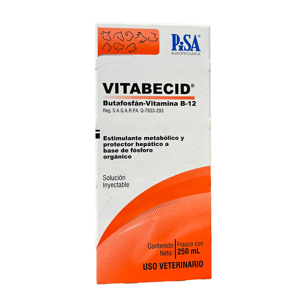 Vitabecid 250 ml Pisa