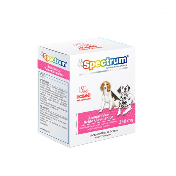 Rx Spectrum Amoxicilina Ácido-Clavulánico - 250 mg HOLLAND
