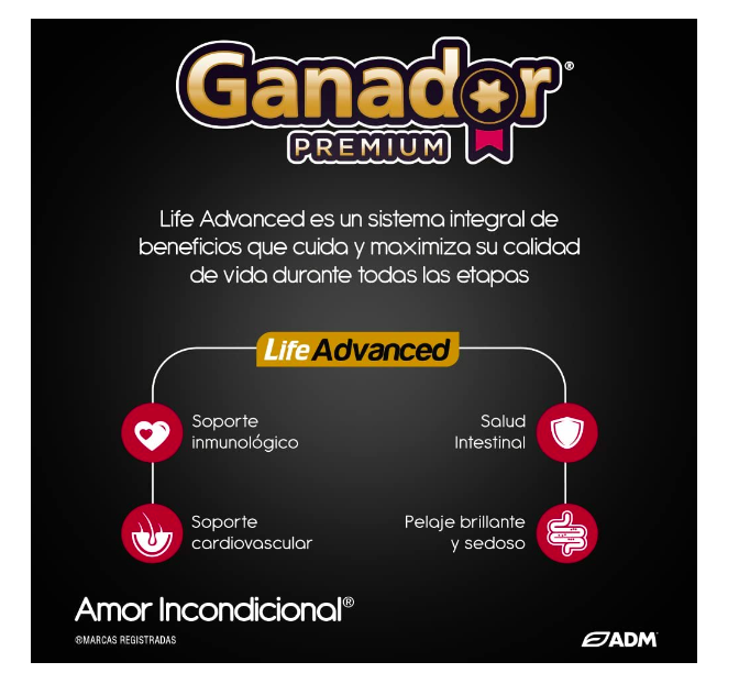Alimento para perro Ganador Premium adulto razas medianas y grandes 20 Kg 