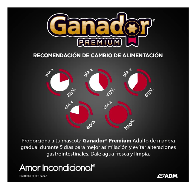 Alimento para perro Ganador Premium adulto razas medianas y grandes 20 Kg 