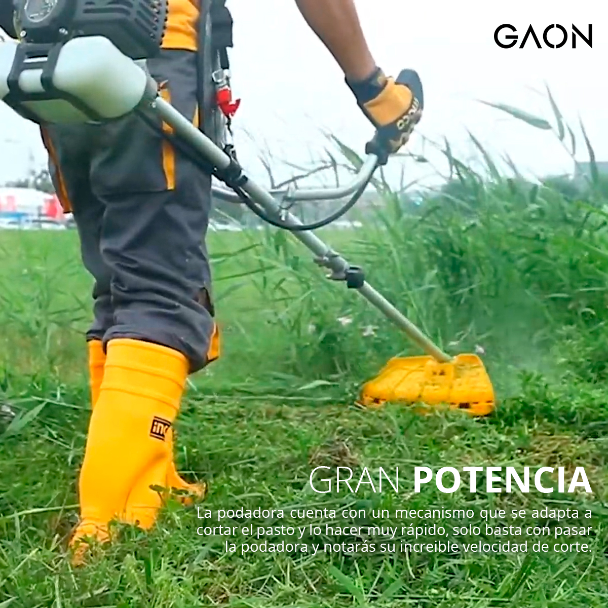 Podadora A Gasolina Desbrozadora, Desmalezadora De Pasto