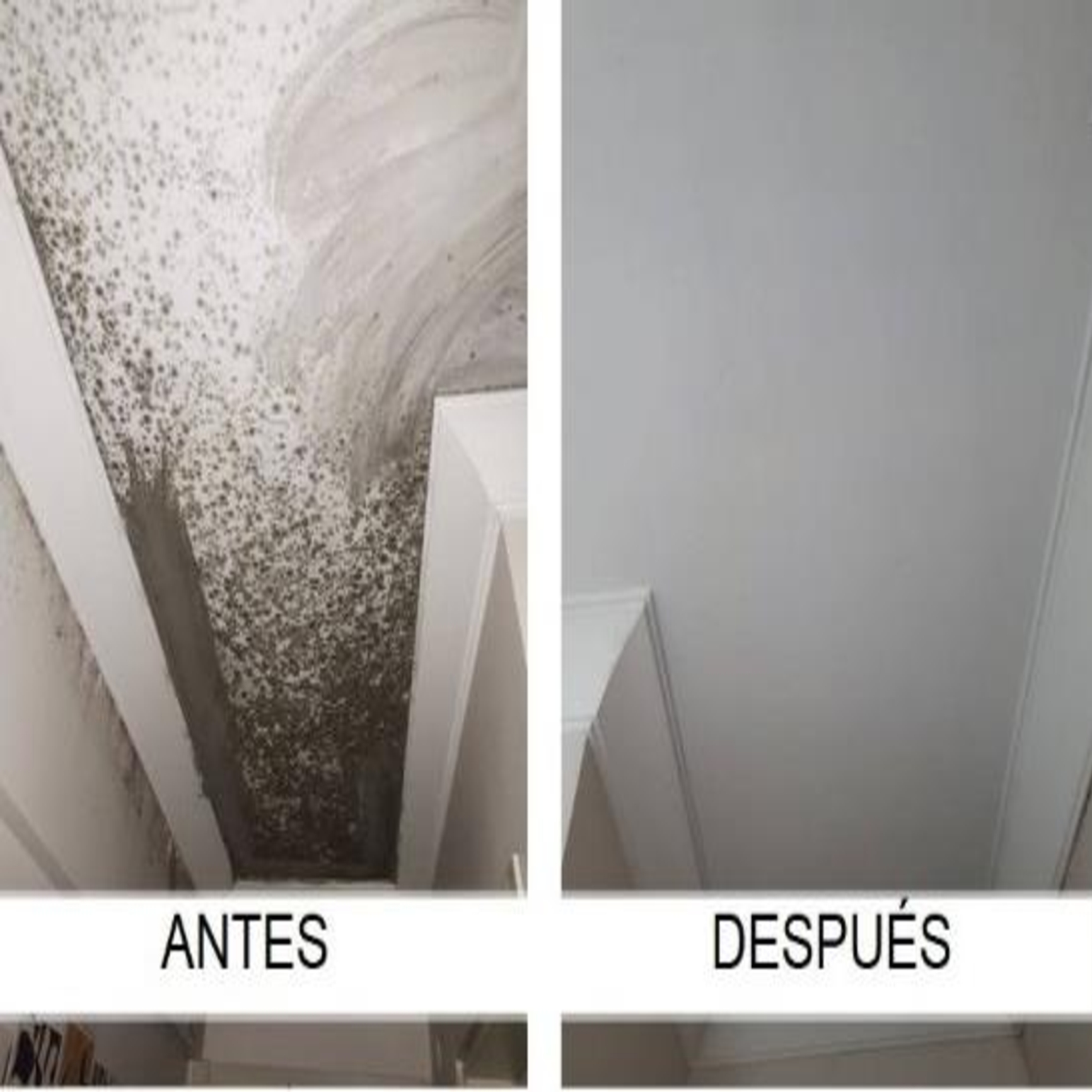 ISONEM MS 82 - Pintura Anti Humedad - 5 Kg