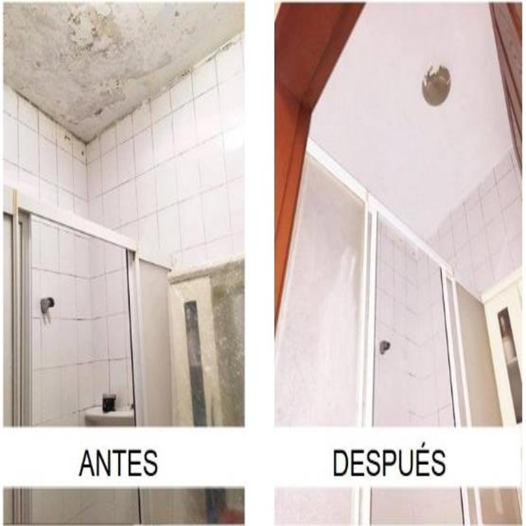 ISONEM MS 82 - Pintura Anti Humedad - 5 Kg