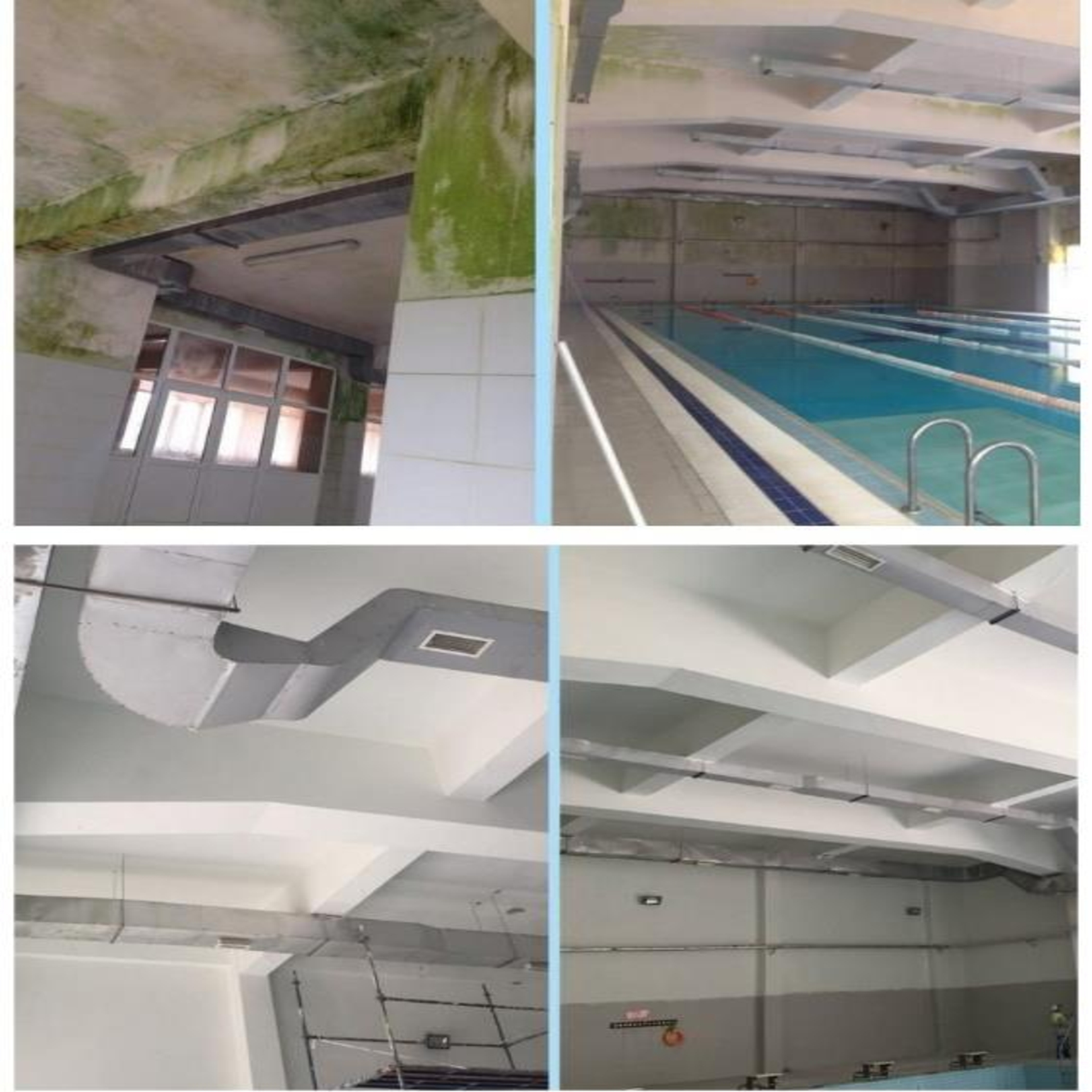 ISONEM MS 82 - Pintura Anti Humedad - 5 Kg