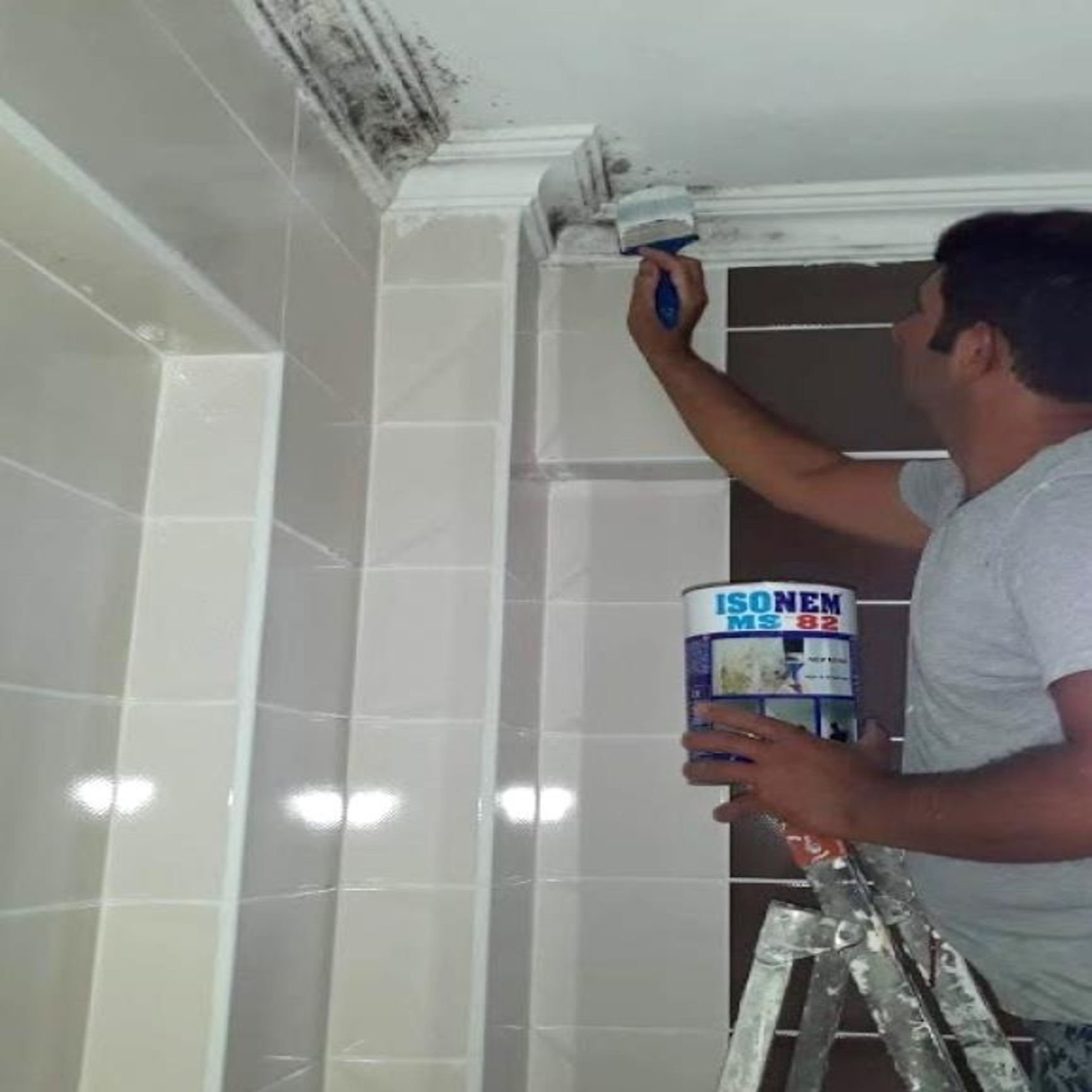 ISONEM MS 82 - Pintura Anti Humedad - 5 Kg