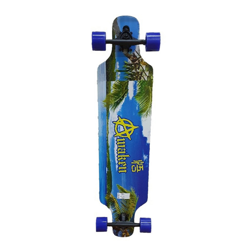 PATINETA LONGBOARD BEACH