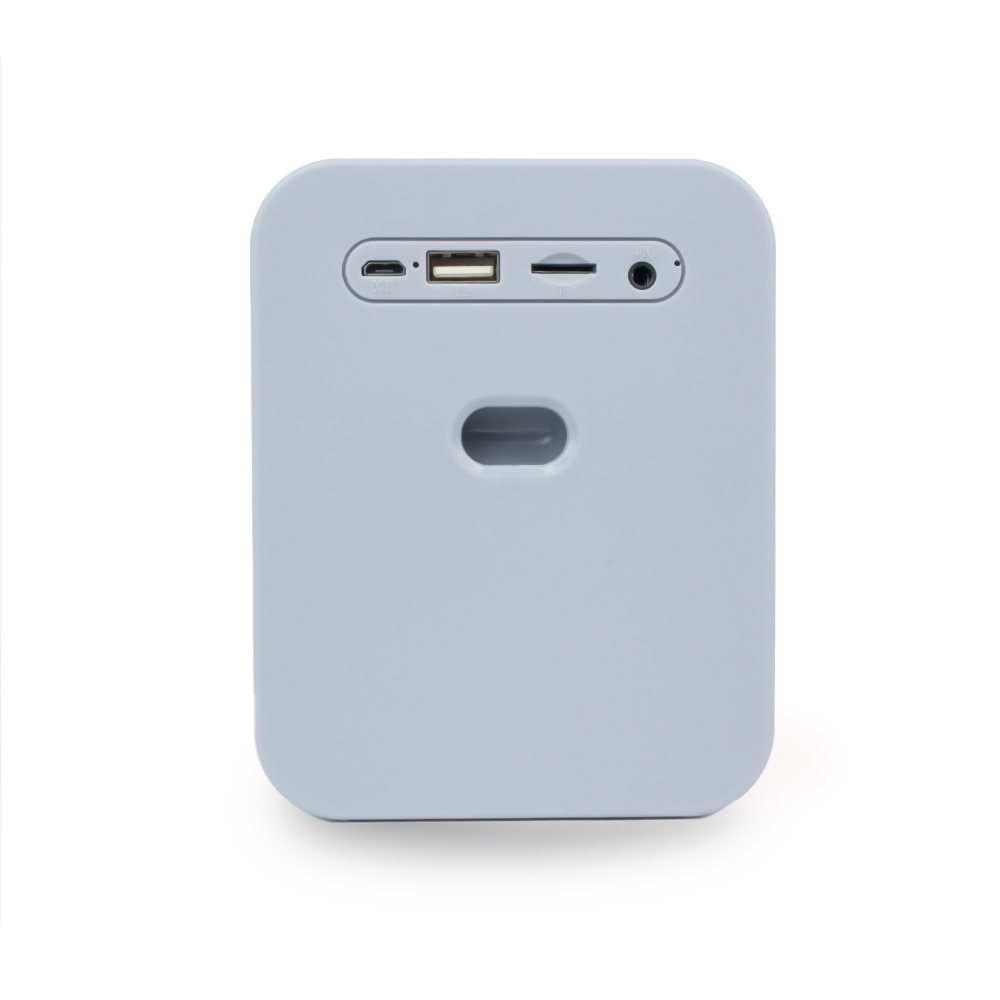 Bocina Bluetooth Portátil Radio FM, Micro SD BST QUVE Gris