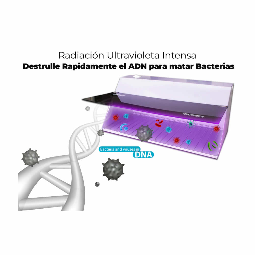Esterilizador De Herramientas Para Belleza Luz UV  Timco EST + Regalo
