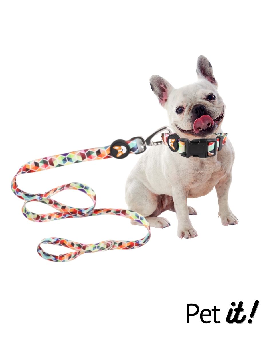 Correa para perro Mod. Dash Mediana