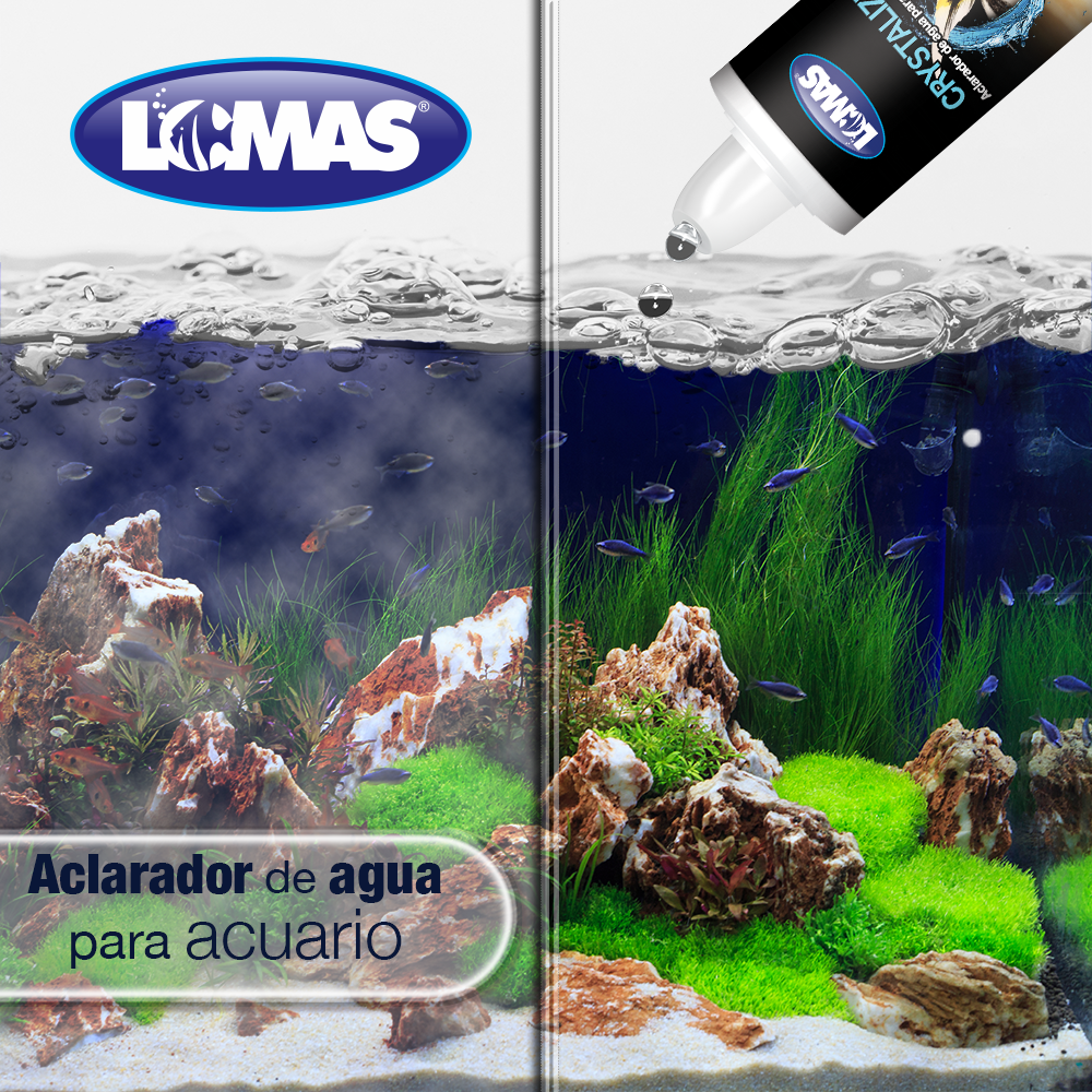 LOMAS Crystalize Aclarador elimina turbidez polvo alga 120Ml