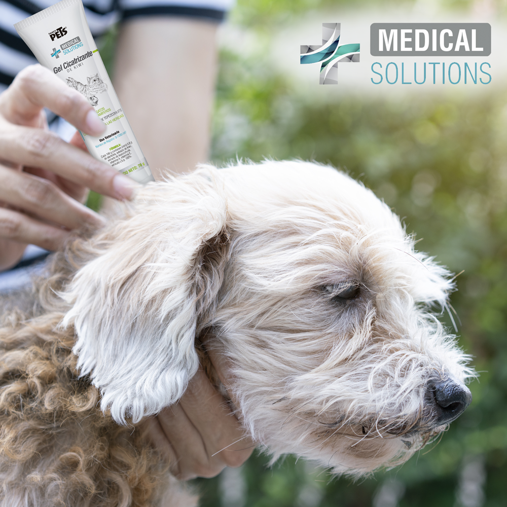 Gel Cicatrizante Kiwi Vitam. Heridas Medical Solutions 70g 