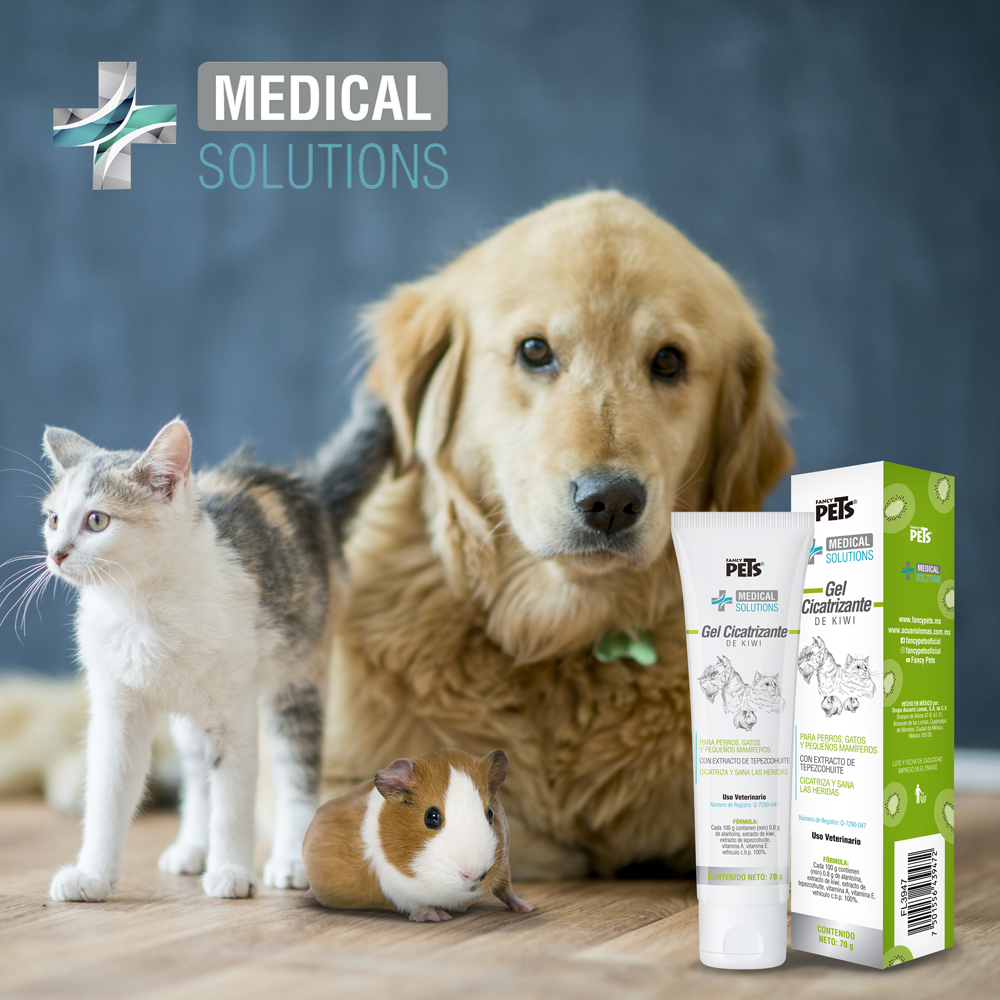 Gel Cicatrizante Kiwi Vitam. Heridas Medical Solutions 70g 