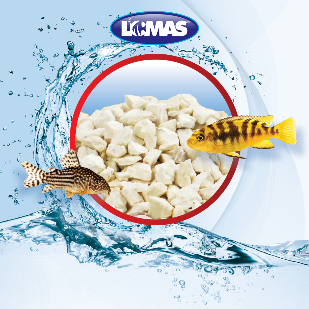 LOMAS Zeolita generica Trozada para Filtro 450Grs Con Malla 