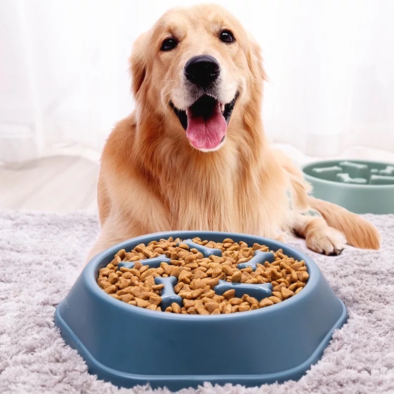 PLATO PARA PERRO DIGESTION ALIMENTACION LENTA