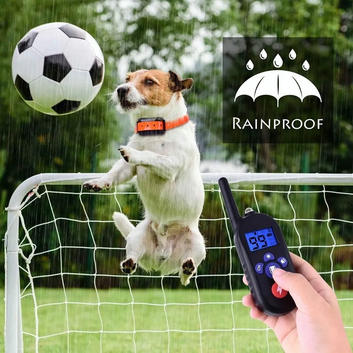 Collar Electrico Perro Teledirigido De Adiestramiento Canino