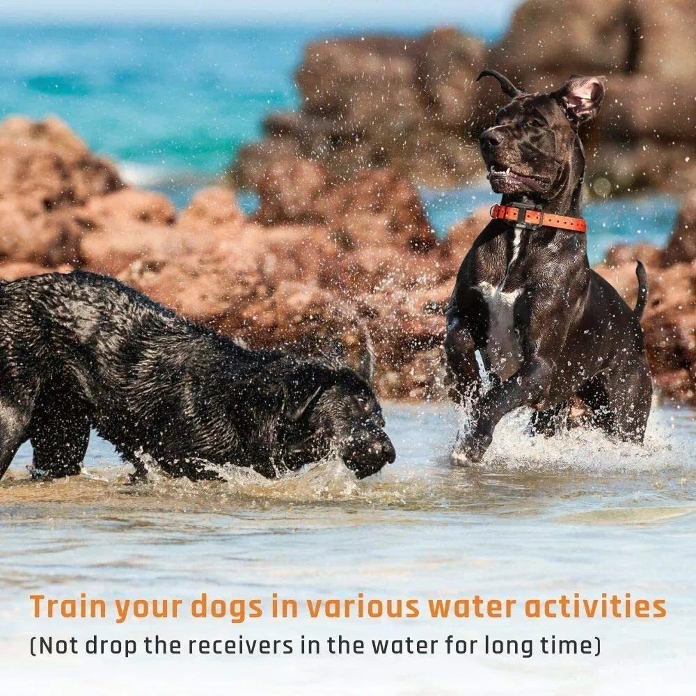 Collar Eléctrico Para Entrenar Perros, 2 Piezas