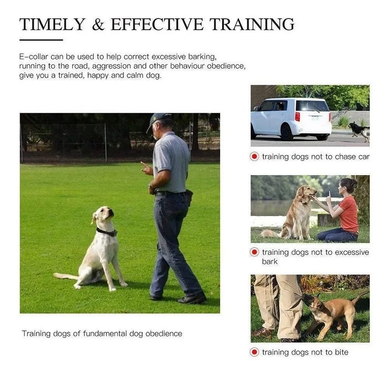 Collar Eléctrico Para Entrenar Perros, 2 Piezas