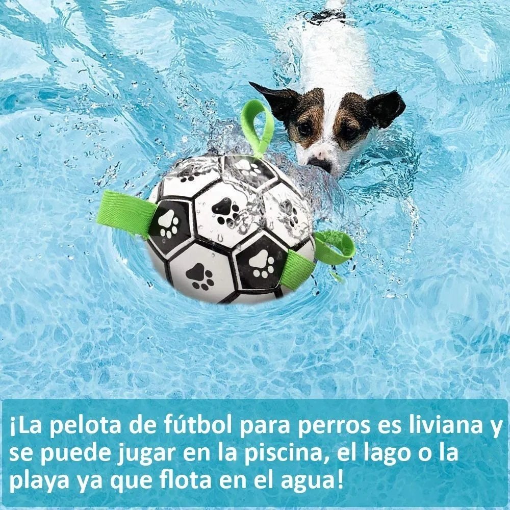 Juguetes Para Perros Balón De Fútbol 
