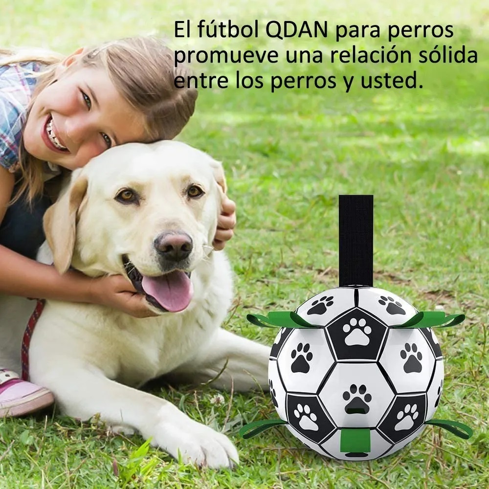Juguetes Para Perros Balón De Fútbol 