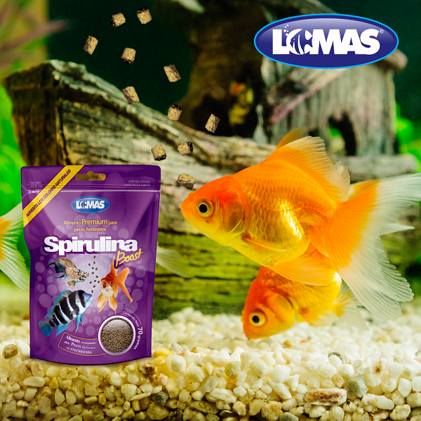 Alimento Spirulina Boots para peces Herbivoros 350 gramos