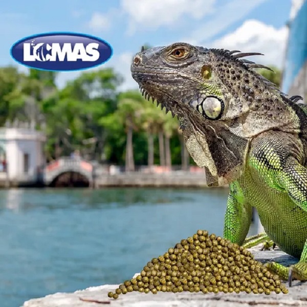 Alimento para Iguana Juvenil 700 Gramos