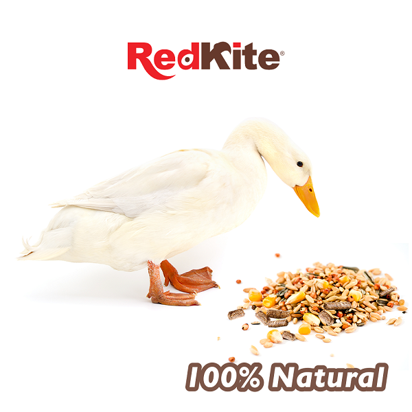 Alimento para Patos Mezcla de Semillas Formula Balanceada 1 Kg
