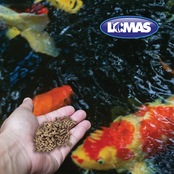 Alimento Peces Carpa Koi Estanque Pond Sticks de 6.8 Kg