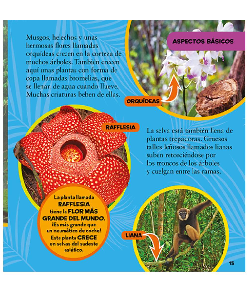Mi primer gran libro de la selva