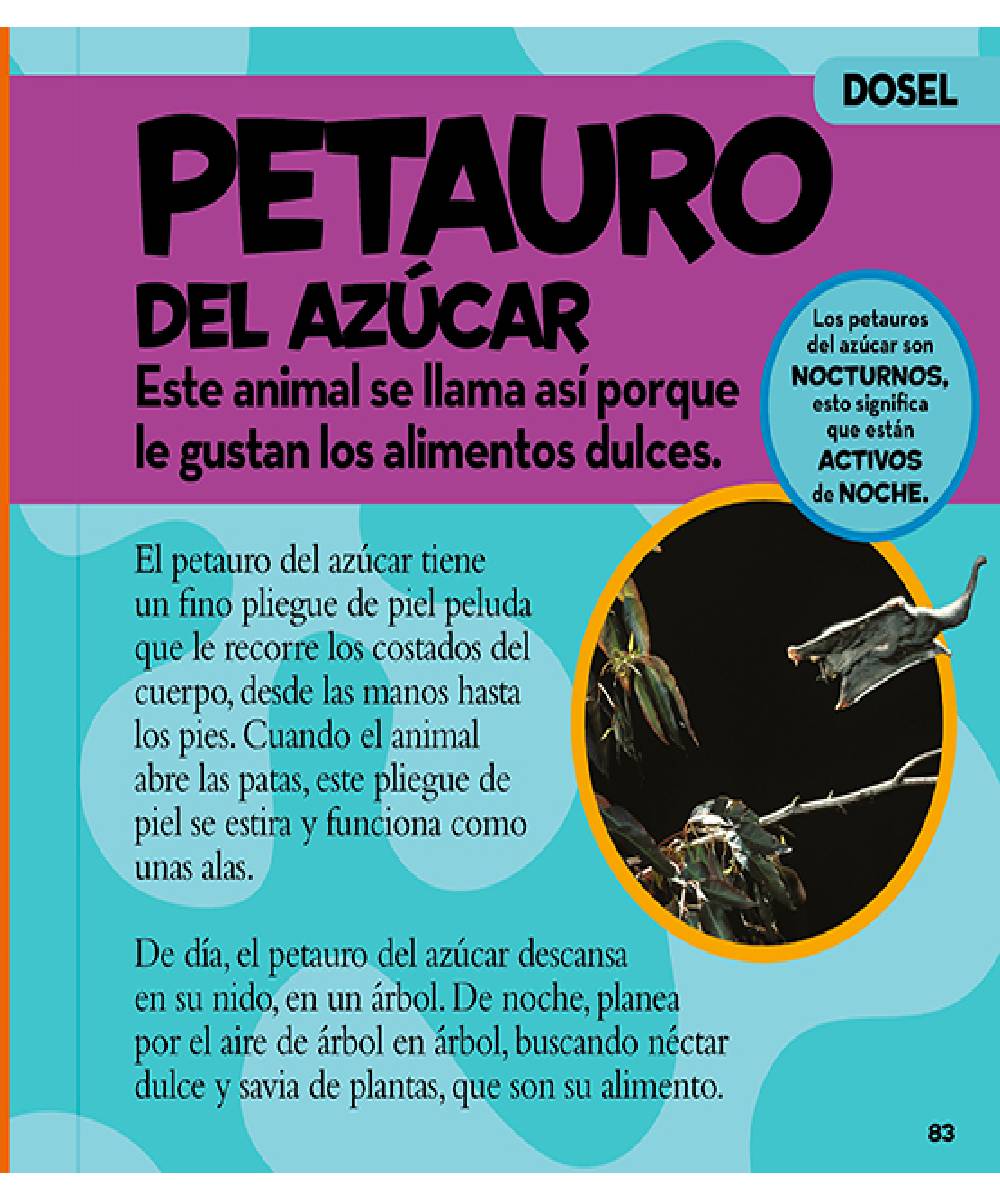 Mi primer gran libro de la selva