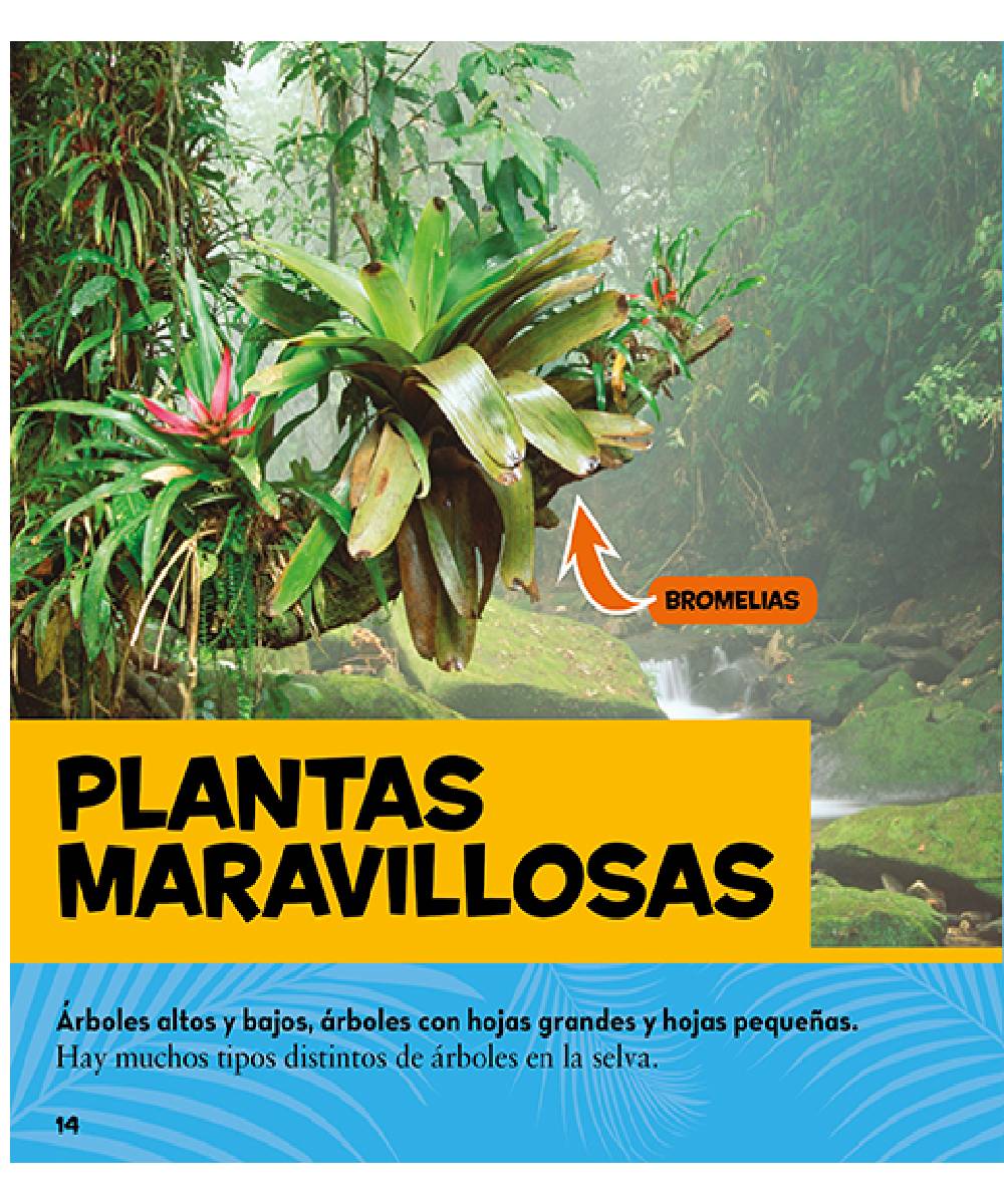 Mi primer gran libro de la selva