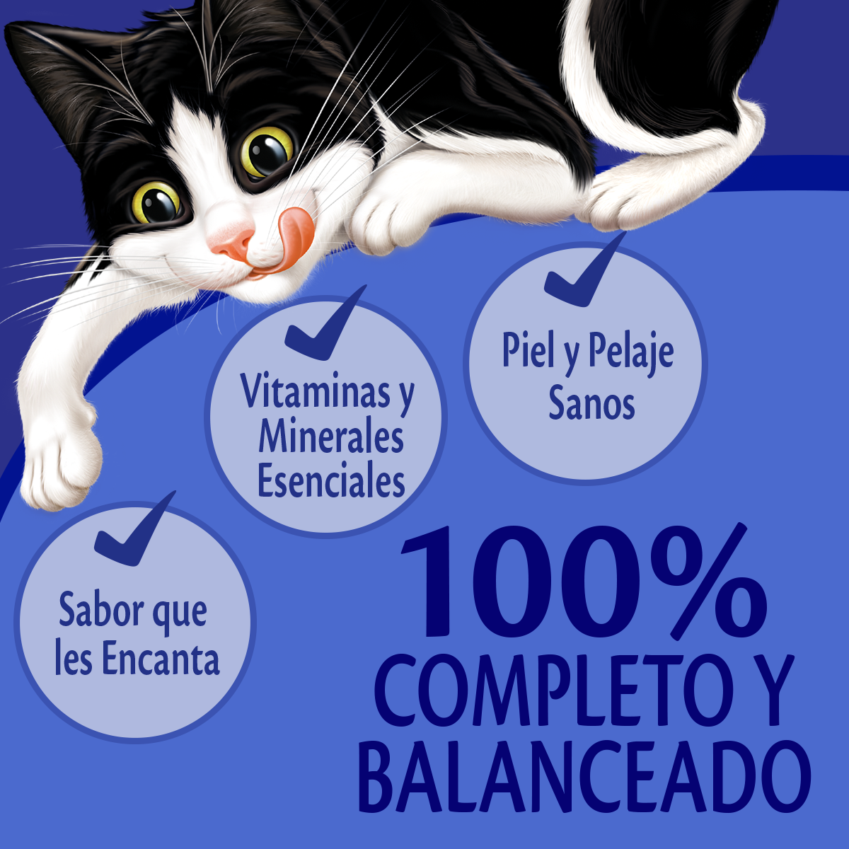 Caja de 24 sobres Felix Carne Alimento Húmedo para gatos adultos, pouch de 85g c/u.