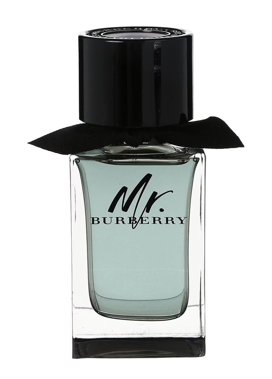 Perfume Mr. Burberry Eau de Toilette 100ml Caballero