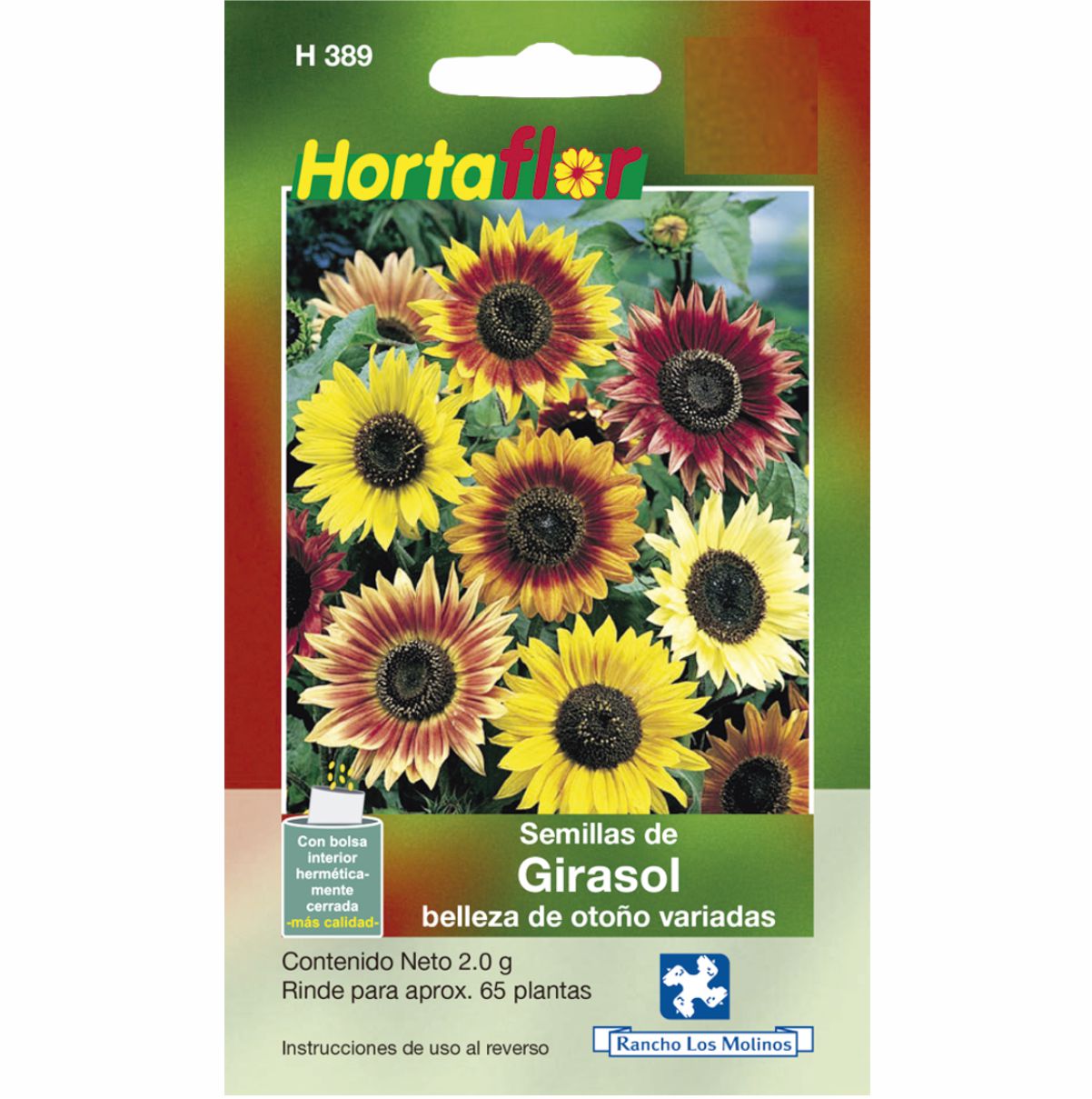 Semillas de Girasol Belleza de otoño