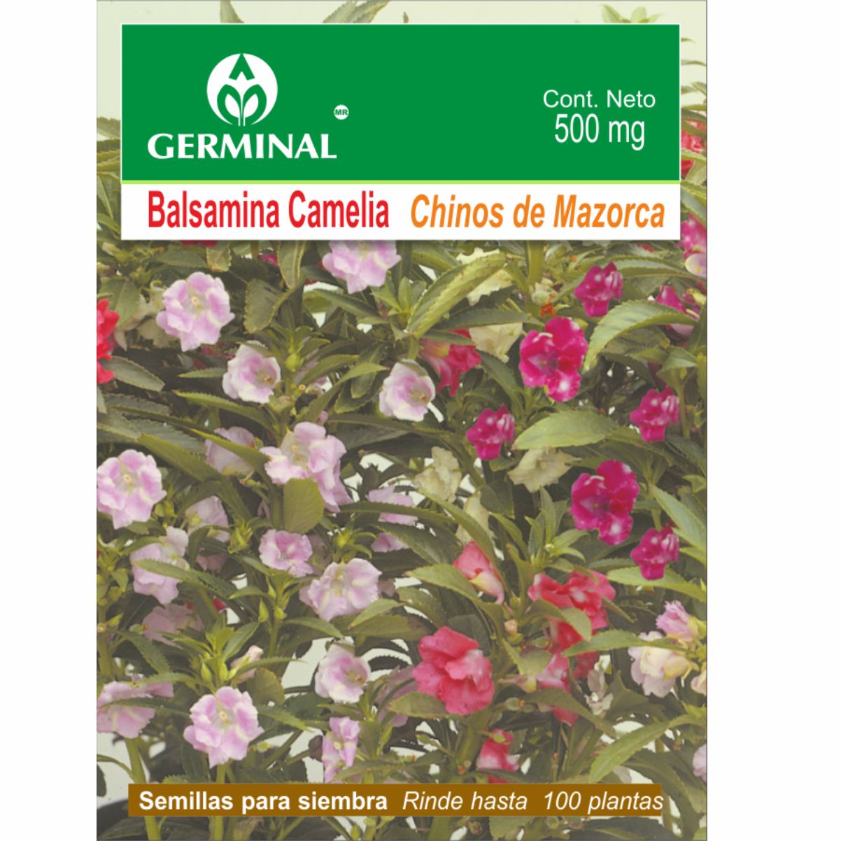 Semillas de Balsamina camelia colores variados